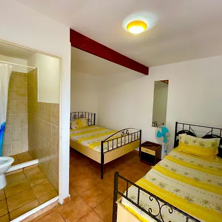 Pensiunea Dacica Guest house