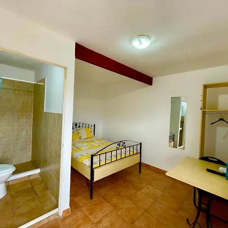 Pensiunea Dacica Guest house