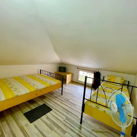 Guest house Pensiunea Dacica