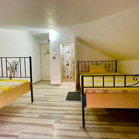 Guest house Pensiunea Dacica