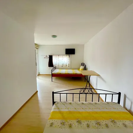 Guest house Pensiunea Dacica *