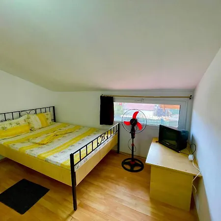 Guest house Pensiunea Dacica Vama Veche