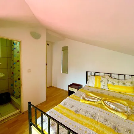Pensiunea Dacica Guest house