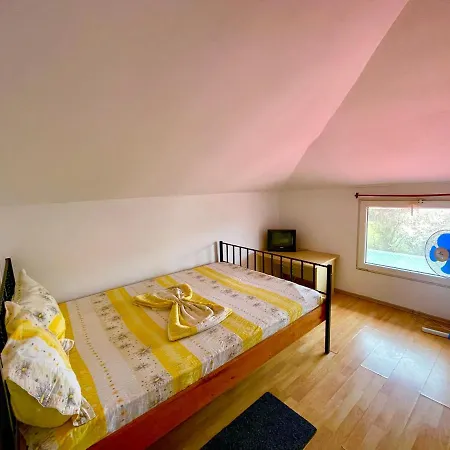 Guest house Pensiunea Dacica *