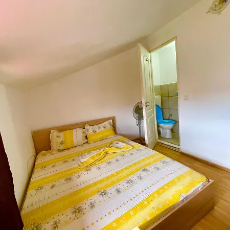 Guest house Pensiunea Dacica *