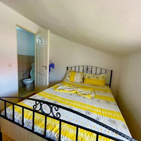 Guest house Pensiunea Dacica Vama Veche