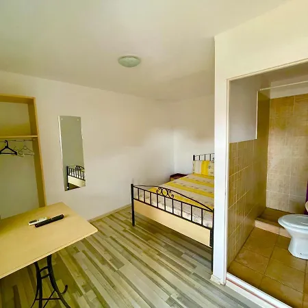 Pensiunea Dacica Guest house