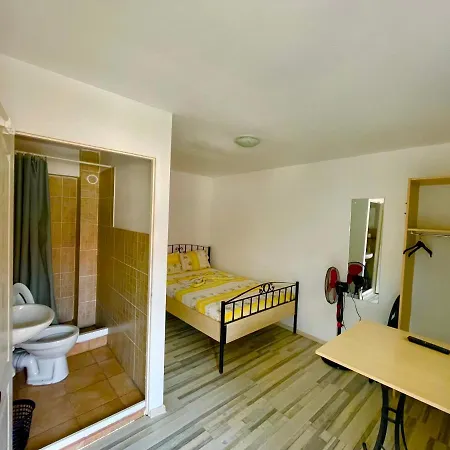 Pensiunea Dacica Guest house *