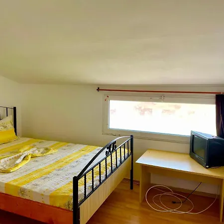 Pensiunea Dacica Guest house *