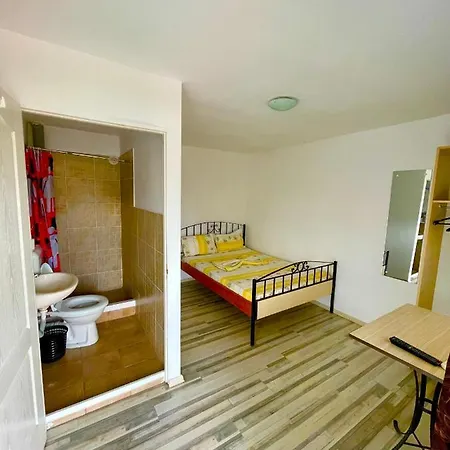 Pensiunea Dacica Guest house