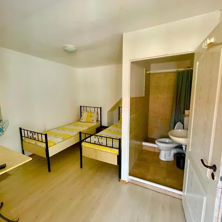 Pensiunea Dacica Guest house *