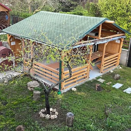 Guest house Pensiunea Dacica *